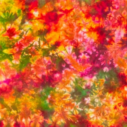 Painted Prisms - Summerfire Foliage