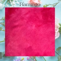 Flamingo Wool